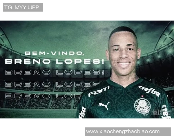 费布雷诺与卢捷诺体育会的精彩对决揭示足球战术与团队精神的较量