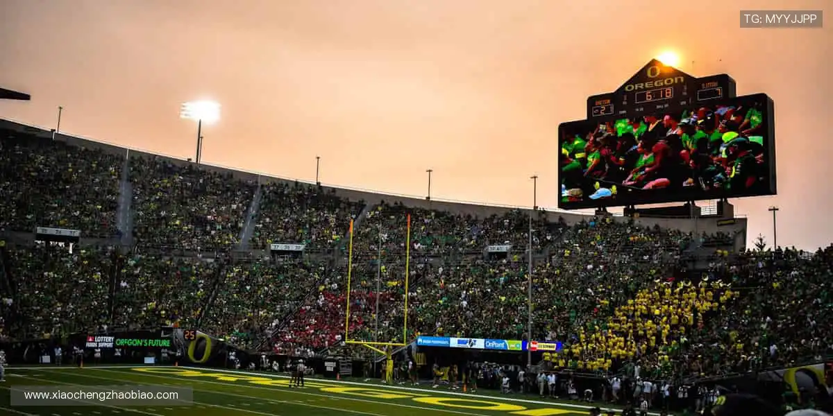 突破极限，超越自我，下一个冠军就是你！🚀🥇